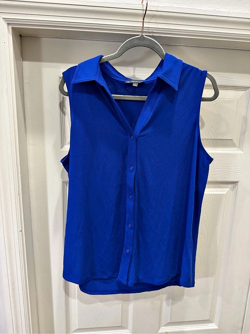 Adrianna Papell Sleeveless Button Down Top in Blue Like New
